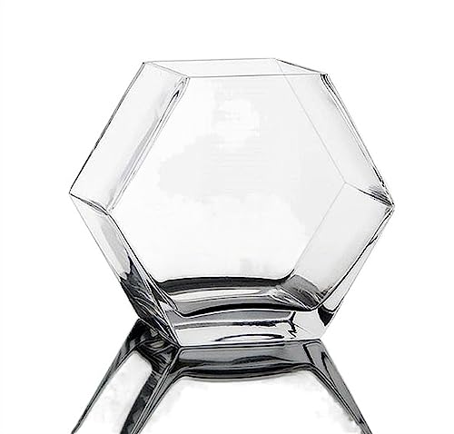 Aquarium pour poisson de combat en verre hexagonal de grande taille robuste - 2