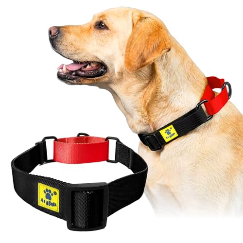 Image of A+a Pets Martingale Dog Collar | No Pull Design, No Neck Strain, No Choke Design | for Large & Medium Dogs | Rust Free, Waterproof Nylon Training Collar (Black & Red), 20 x 2.5 cm