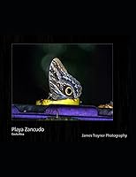 Playa Zancudo: Costa Rica 1976820022 Book Cover