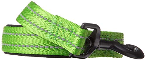 Alcott Flexi Explorer Adventure Pet Leash, Large, Green,LSH LG EX GR
