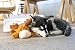 Imagen de Kong Marvin Moose Trio Cozies