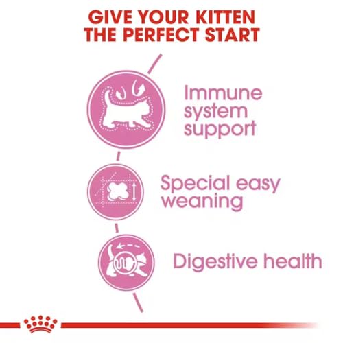 Image of Royal Canin First Age Mother & Babycat Food, 1.2 Kg, Dry Food, Supports Immunity System & Digestive Health, Special Easy Weaning