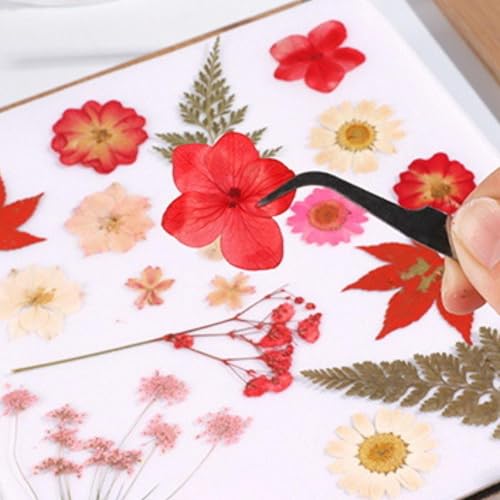 Image of SNAPPSY Press Flower Book Set Flower Pressing Tools for Crafts Lovers Photo Artworks 15cmx15cm