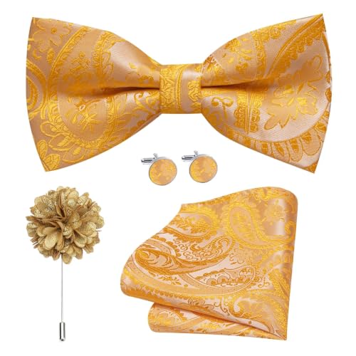 Image of Mens Paisley Striped Bowtie Set Pre-tied Bowtie for Men and Pocket Square Set Wedding Business