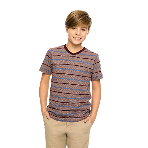 French Toast Boys' Short Sleeve Stripe V-Neck Tee4