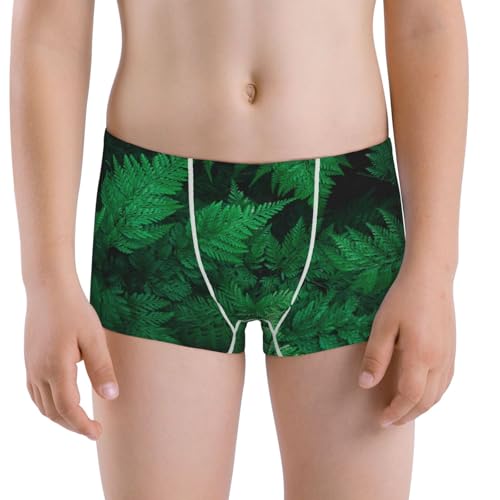 Boys' Cotton Boxer Brief Soft Underwear-Green Leave Fern