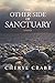 The Other Side of Sanctuary: A novel