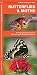 Butterflies & Moths: A Folding Pocket Guide to Familiar North American Species (Wildlife and Nature Identification)