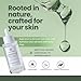 ivoryloom Centella Asiatica Ampoule Serum - 100ML / 3.38 Fl. Oz | Gentle on Sensitive Skin | Lightweight, Non-Sticky Hydration | Soothing Care in Every Drop