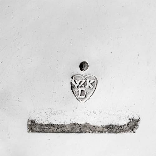 Silver Ring [Explicit]