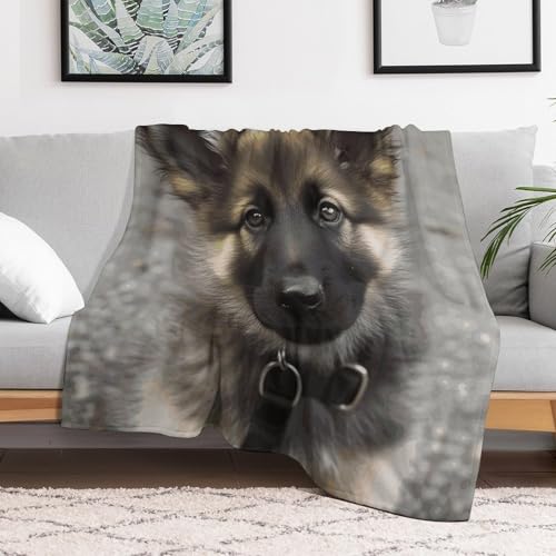 Couverture douce berger allemand idéale pour soirées cocooning canapé - 7