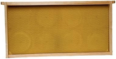 Veranda Medium or Honey Super Beehive Wooden Frame