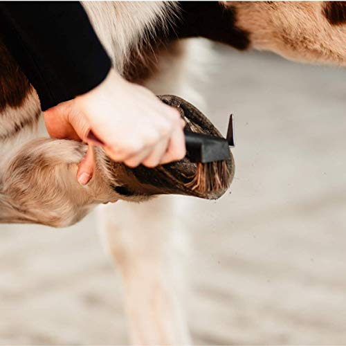 Animalon Naturborsten Hufkratzer mit Bürste | Picker aus rostfreiem Edelstahl | Ergonomischer Hufkratzer für Pferde | 2 in 1 Hufauskratzer in braun für die Pferde-Hufpflege | Hufräumer Pferd