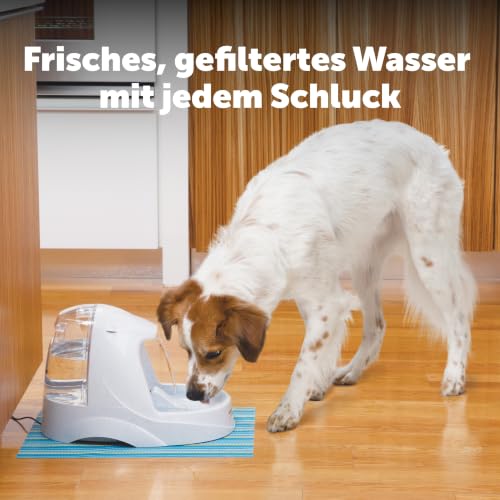 PetSafe Ersatz-Aktivkohlefilter für PetSafe Drinkwell Trinkbrunnen Premium, Sauberes Trinkwasser für Hunde und Katzen, 3er-Pack