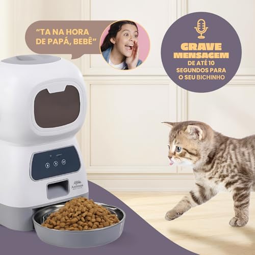 Alimentador Automático Smart Cães Gatos Pets Programável Animus