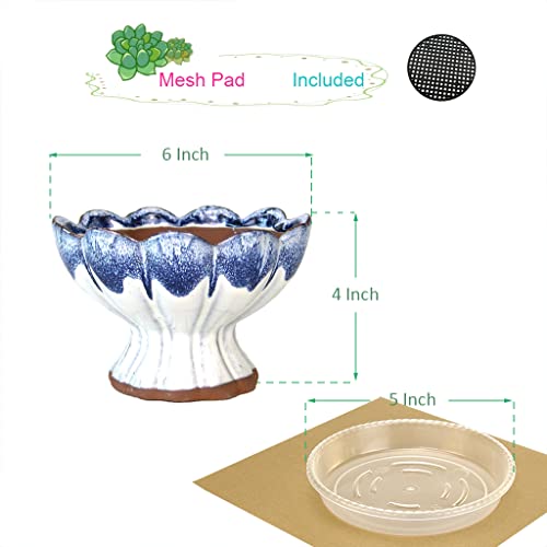 Summer Impressions 6 Inch Glazed Terracotta Succulent Planter With Drainage Hole Clear Plant Saucer Cactus Planter Pot Bonsai Pot Clay Pot Flower Pot (Lotus Blue With Saucer) #TOP6