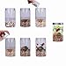Light Up Dinosaur Terrarium Kit for Kids, Kids Terrarium Kit for Plant Growing, Mini Science Kit for Boys and Girls Age 6, 7, 8, 9 10 Year Old