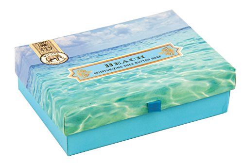 Michel Design Works Triple Milled Double Soap Box Set, Beach
