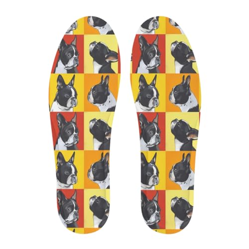 {XgeA  G  C\[ C NbV ~ ᔽ y ʋC z _炩 K 傫TCY Ch~ 􂦂 X|[cV[Y oXPbg{[V[Y TbJ[V[Yp i lGʂ jp