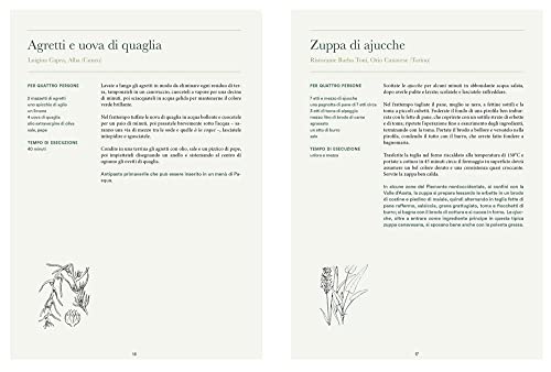 Atlante Gastronomico Delle Erbe. 170 Piante. 60 Ricette. Ediz. A Colori - 5