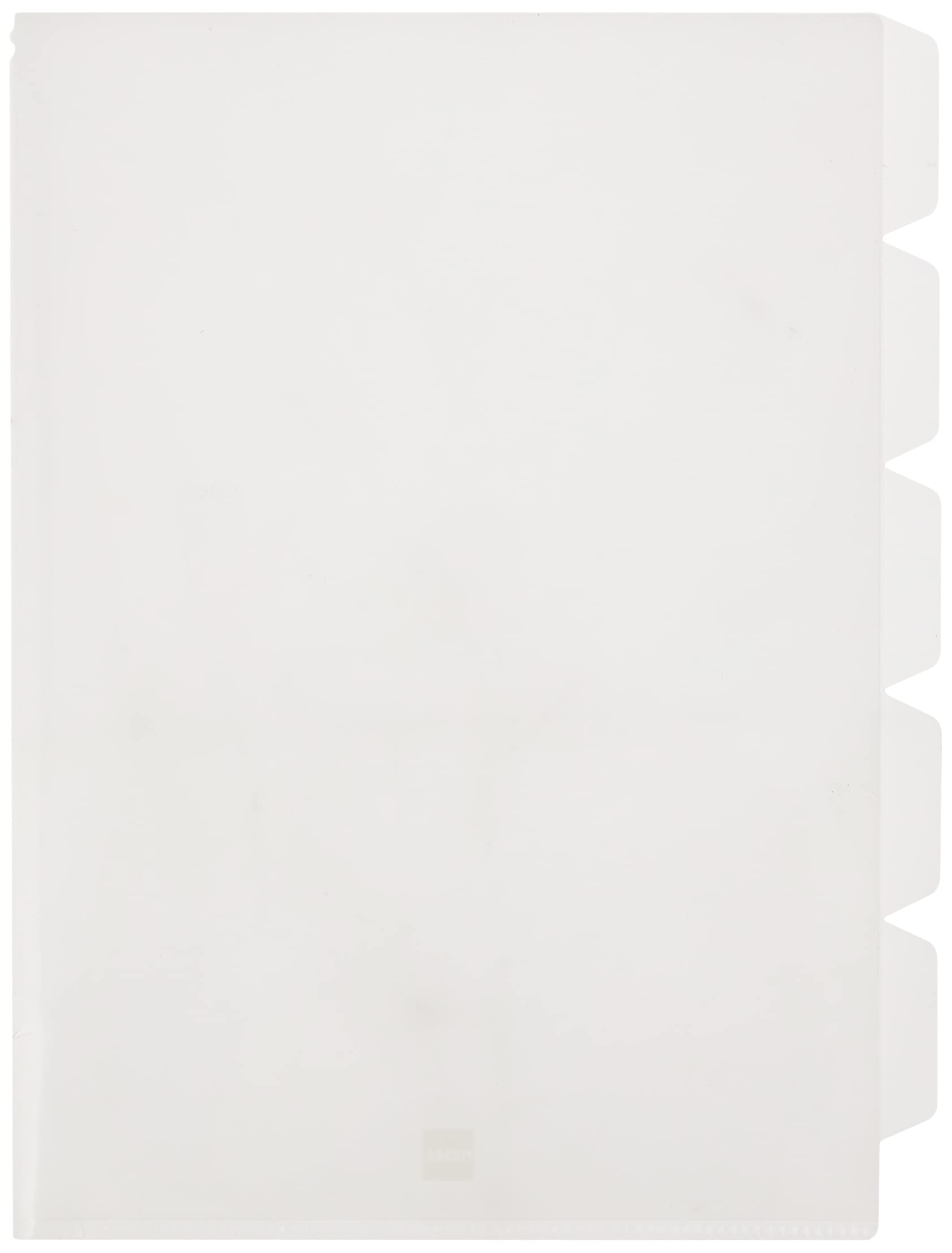hemaA4 Plastic Folder with 5 Compartments, Clear
