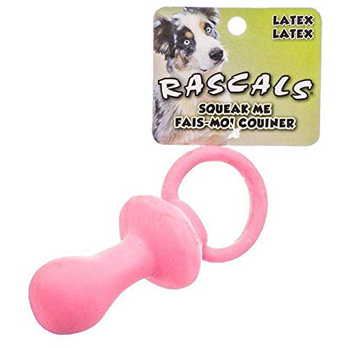 dog chewing pacifier