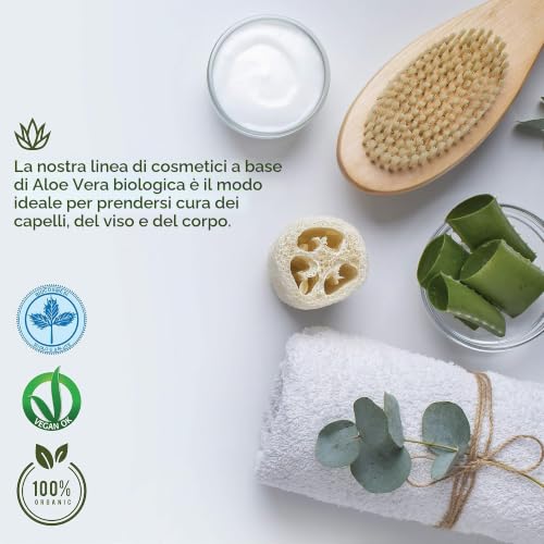 Benessence Shampoo Antiforfora Aloe 250 ml