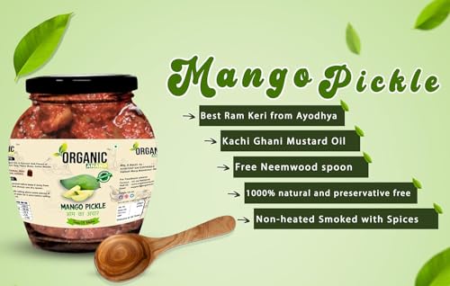 Image of Organic Anand Homemade Mango Pickles 350gram | Khatta Aam ka Achar | Flavourful, Delicious, Traditional Taste (Pack of 1)
