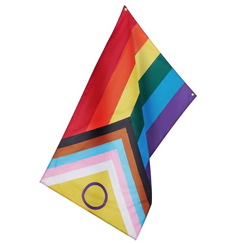 Runesol Progress Pride Flag 3x5, 91x152cm, LGBTQ+ Intersex Rainbow, 4 Grommets, Brass Eyelet in Every Corner, Parade - Image 3