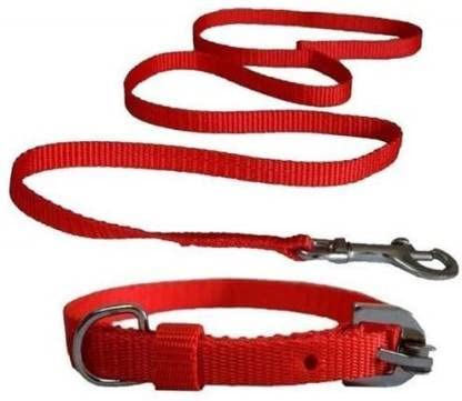 Red Coller Belt X-Small (Red) (B09Q9CN3FJ) Amazon Price History, Amazon Price Tracker