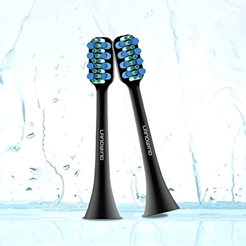 Landwind Replacement Toothbrush Heads, Fit Sensitive Gums And Teeth, Dupont Nylon Harmless For Landwind Sonic Electric Toothbrush, 2 Pro+2 Comfy Electric Toothbrush Heads -4 Pack (Black) #TOP2