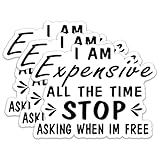 (3Pcs) I Am Expensive All The Time Stop Stickers Motivational Quotes Stickers Decal Waterproof Vinyl Stickers Adult for Laptop Kindle Car Tumbler Water Bottle Mug Phone Notebook Helmet Size 3”x2.3”