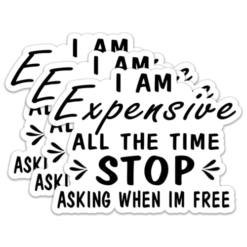 (3Pcs) I Am Expensive All The Time Stop Stickers Motivational Quotes Stickers Decal Waterproof Vinyl Stickers Adult for Laptop Kindle Car Tumbler Water Bottle Mug Phone Notebook Helmet Size 3”x2.3”