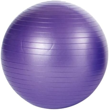 Evernew ETB601 Non-Burst Balance Ball 55
