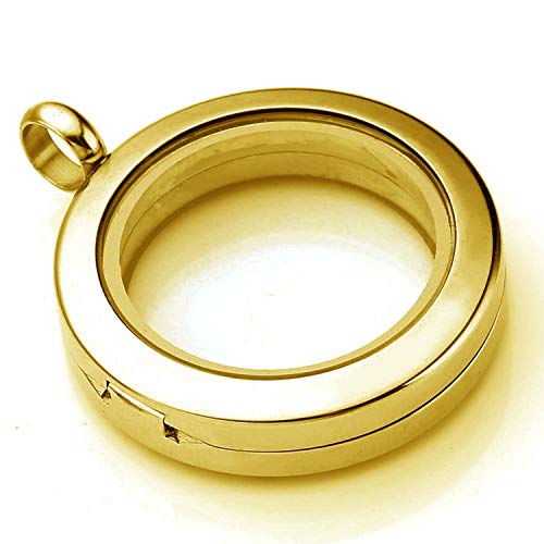 BG247 Stainless Steel 30mm Glass Floating Memory Living Locket Circle Necklace3