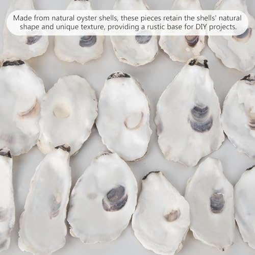 Conchas de ostras Striegro naturales seleccionadas de gran tamaño para arte y decoración 3