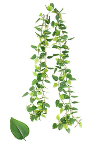 Tierneys yeBAj[YztFCNO[ K[h tFCN[t CeA lHϗtA Ǌ| ݂艺  O x_ K[fjO (1, O[|gX, 2m jc)