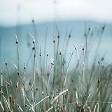 Peace Soul | Relax, Feet Up