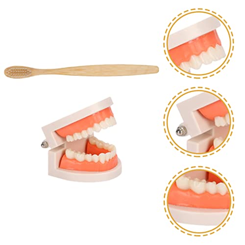 TOYANDONA Brinquedos Educativos Para Crianças 1 Definir dentes Crianças Crianças Cuidados odontológi