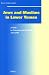 Jews and Muslims in Lower Yemen: A Study in Protection and Restraint, 1918-1949 (SOCIAL, ECONOMIC AND POLITICAL STUDIES OF THE MIDDLE EAST AND ASIA, Band 96) - Hollander, Isaac