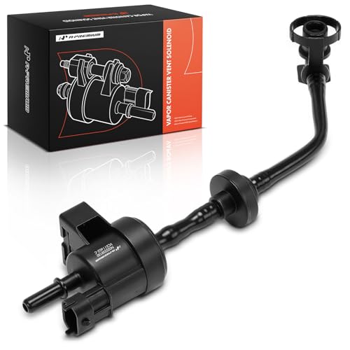 Électrovanne de purge de cartouche vapeur pour Chevrolet Cruze 2011 1.4L