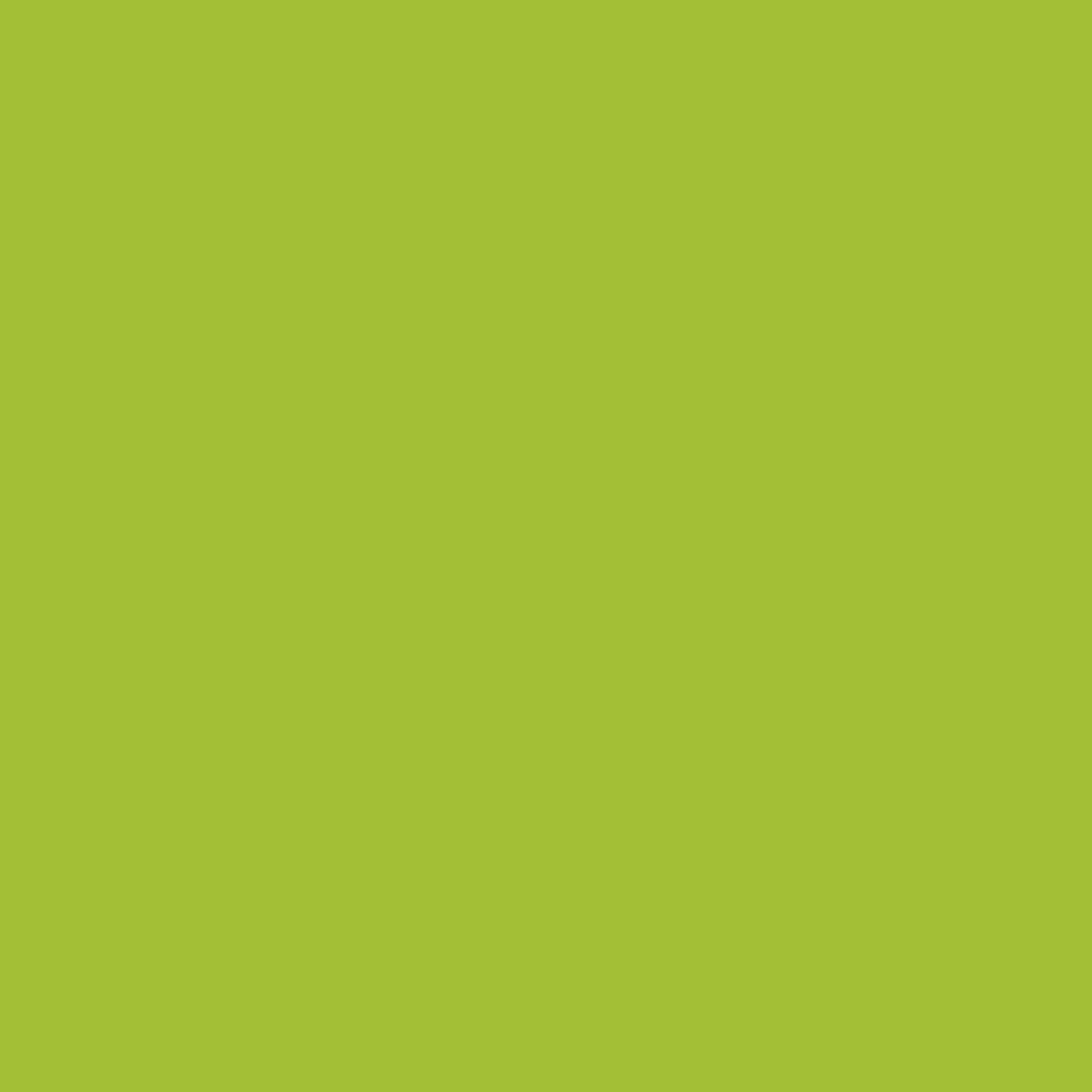 Intense Green A4 Coloured Craft Paper 80gsm x 100 Sheets