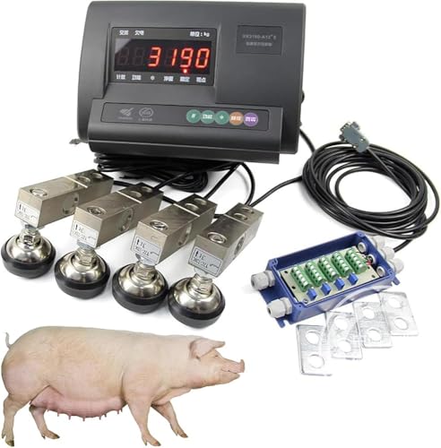 Viehwaage Kit, Stahlbalken Kompression Wägezelle Waage Bodenwaage Kit für Tiere, Rinder, Ziegen, Schweine, Pferde, Schafe mit Gewichtungsanzeige