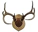 Walnut Hollow Country Antler Mount & Display Kit, Oak