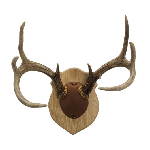 Walnut Hollow Country Antler Mount & Display Kit, Oak , Brown