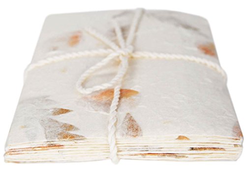 Petalo Ecologica Buste Set da Regalo e Carta da Scrittura Dimensione DL Regolare Misto Floreale - Set da 6 (22cm x 12cm)