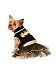 DC Comics Batgirl Pet Tutu Dress, X-Small