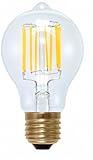 Ag-Eco Retro Filament A19 Clear, 6 Watt, 2200K, Replacement for 50 Watt Classic Light Bulb