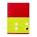 STALOGY 018 Editor's Series 365 days notebook (A5/Red)