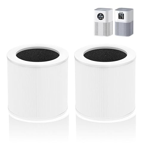 True HEPA versus HEPA-type filters